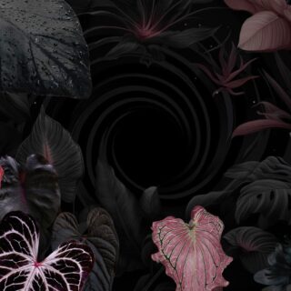 MyBotanika expo kansainvälisen vierailijan näkökulmasta